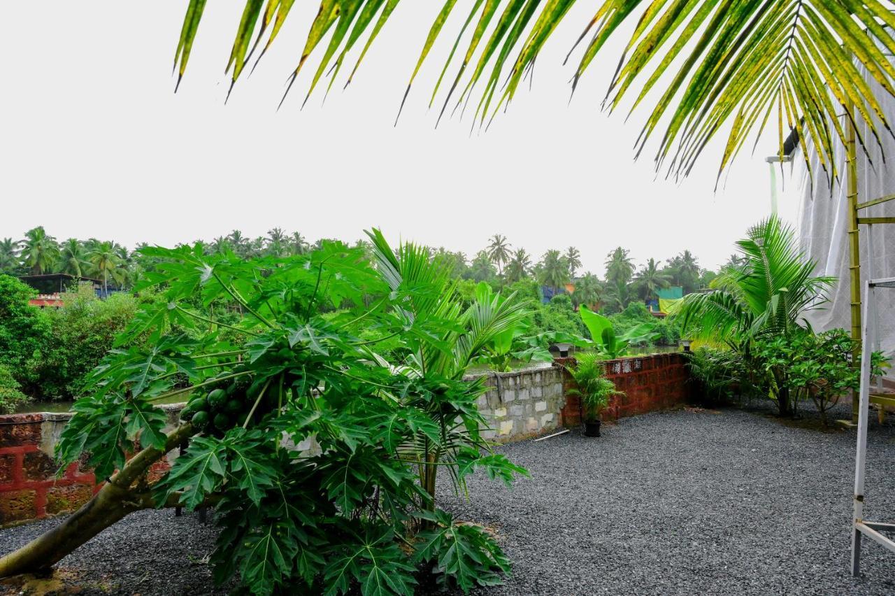 Vedana Retreat Arambol Hotel ภายนอก รูปภาพ
